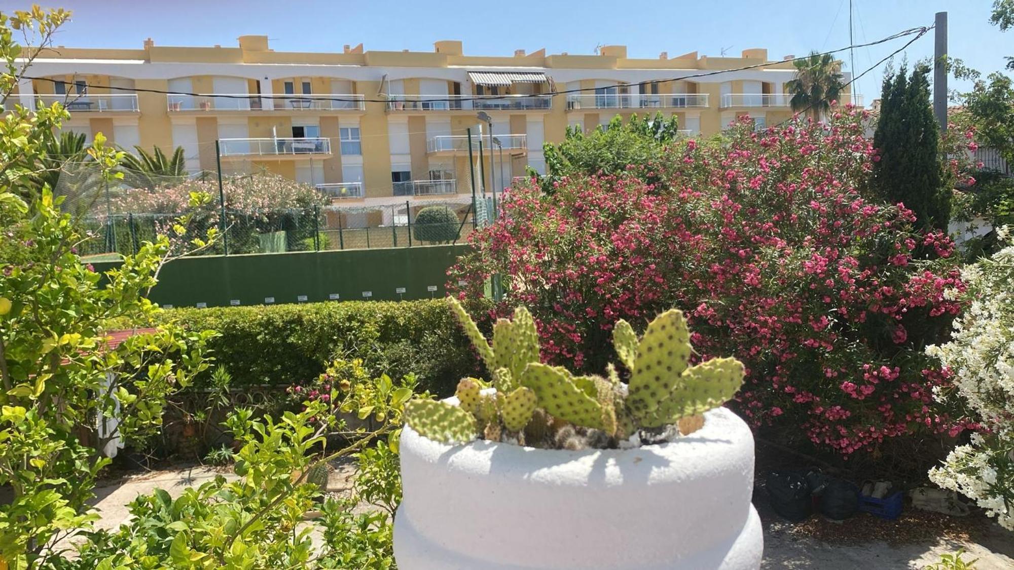 Вілла Chalet Denia Playa Primera Linea Екстер'єр фото